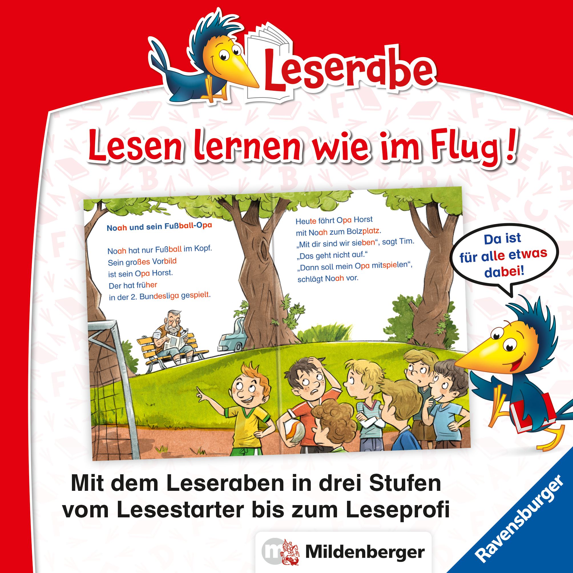 Leserabe mit Mildenberger Silbenmethode - Fußballgeschichten (Mängelexemplar)