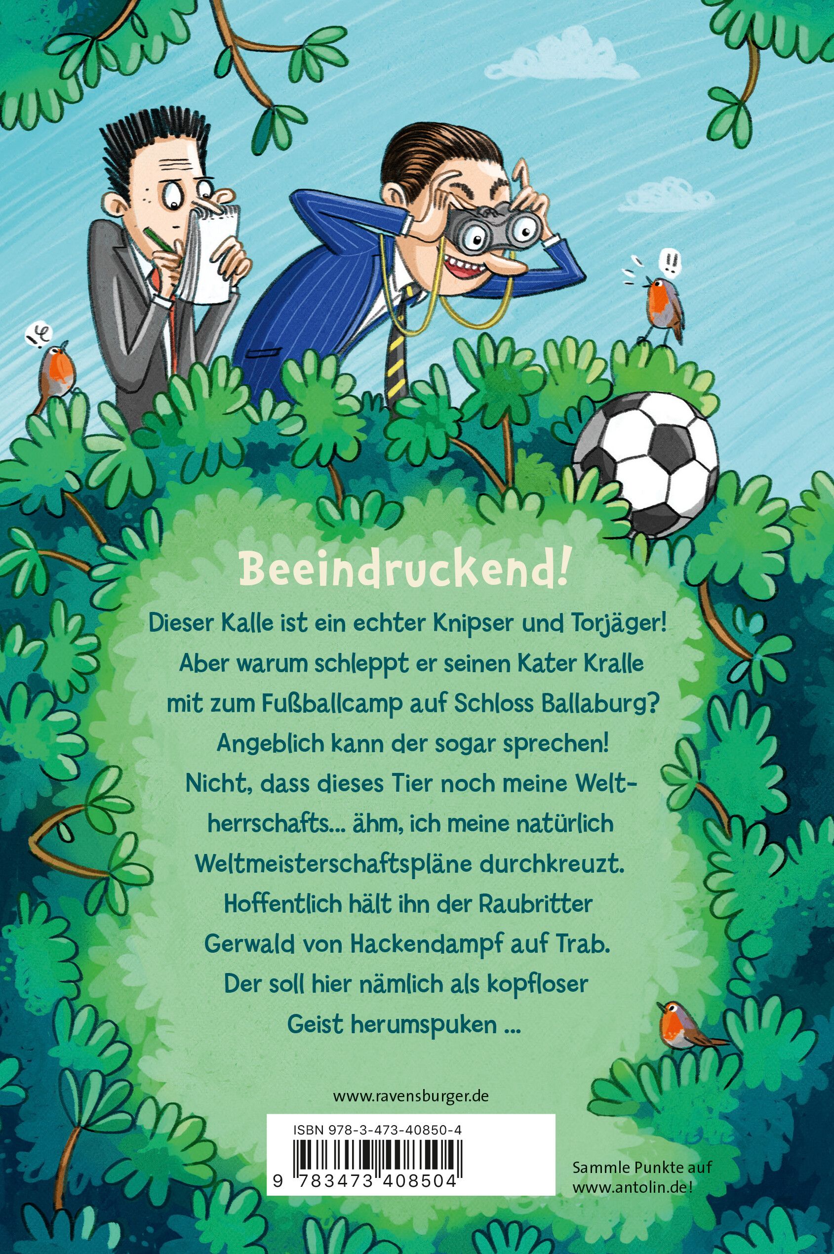 Kalle & Kralle, Band 2: Ein Kater kickt mit (Mängelexemplar)
