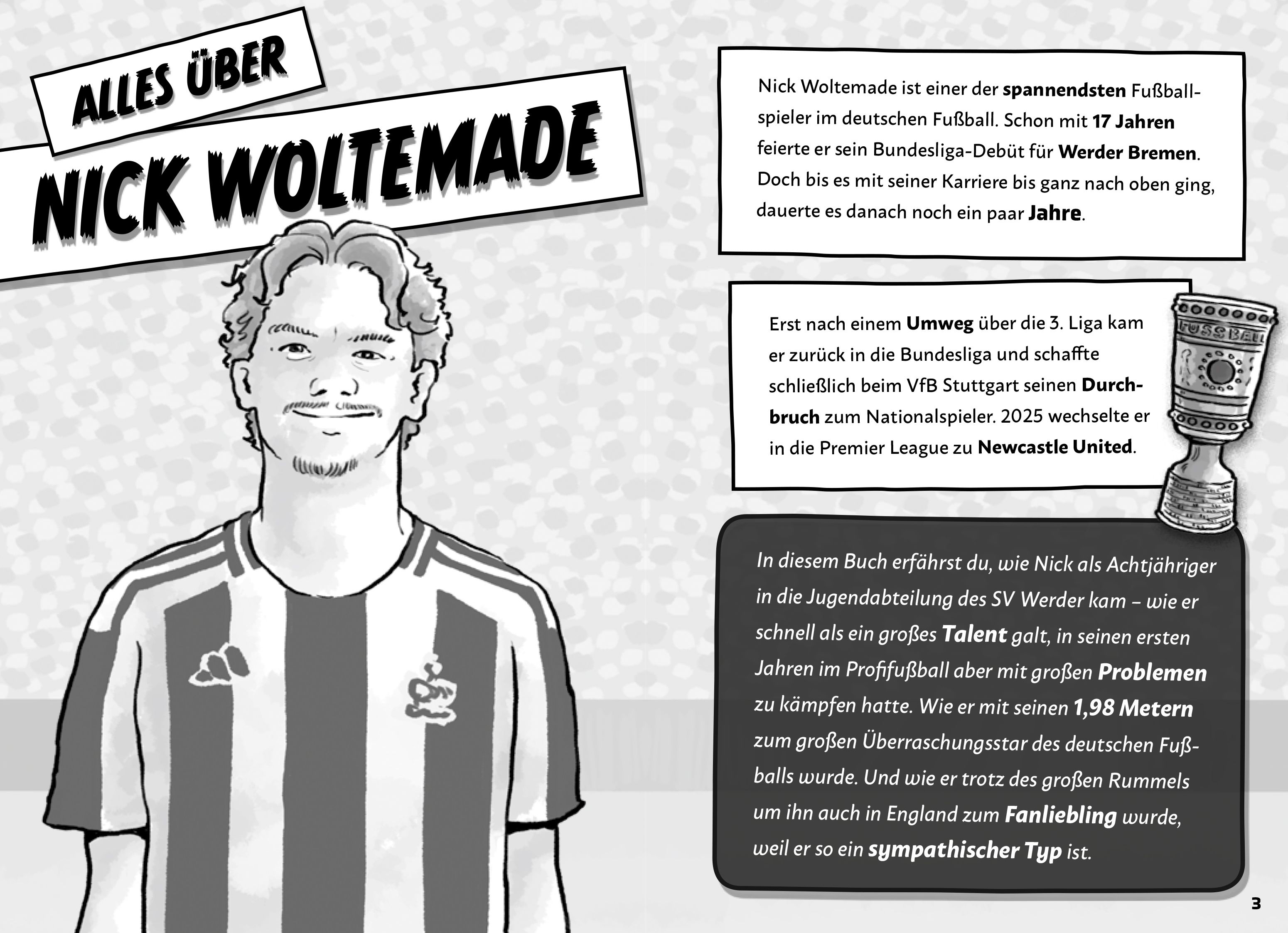 Mein Fußballheld Nick Woltemade – Seine Geschichte, seine Spiele, seine Rekorde (Mängelexemplar)