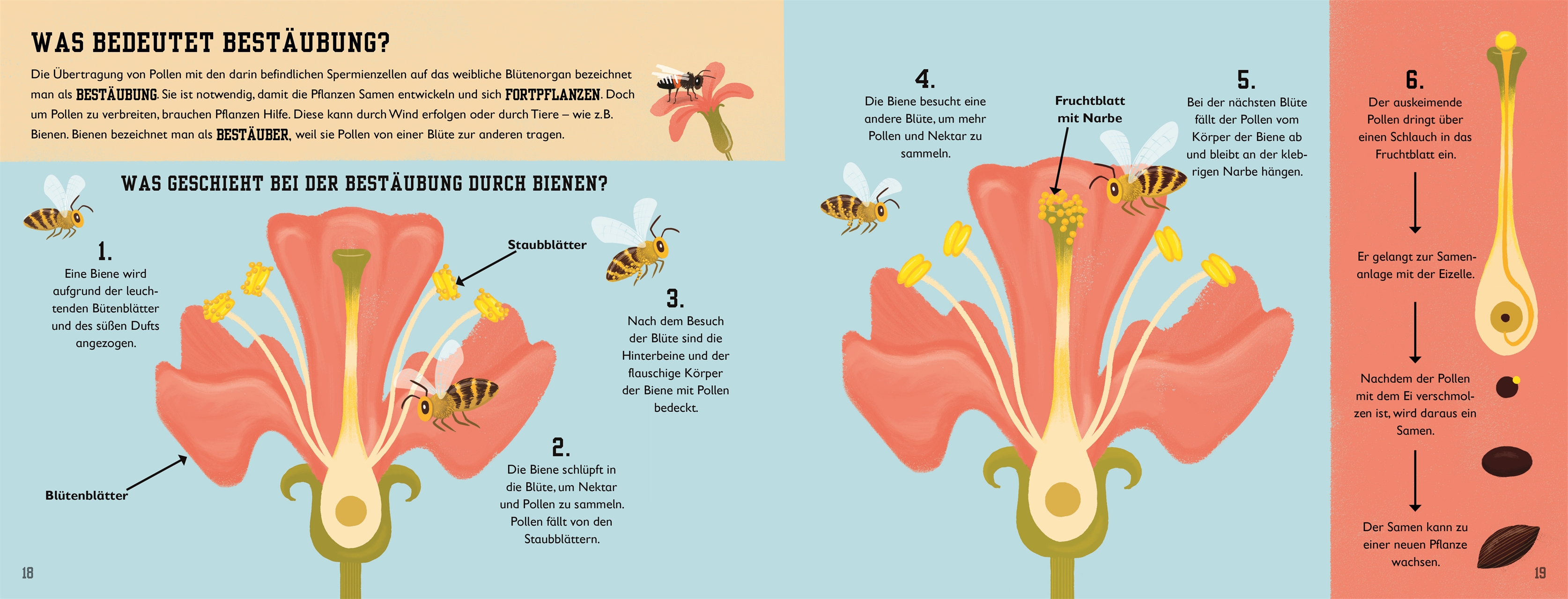 Das Buch der Bienen