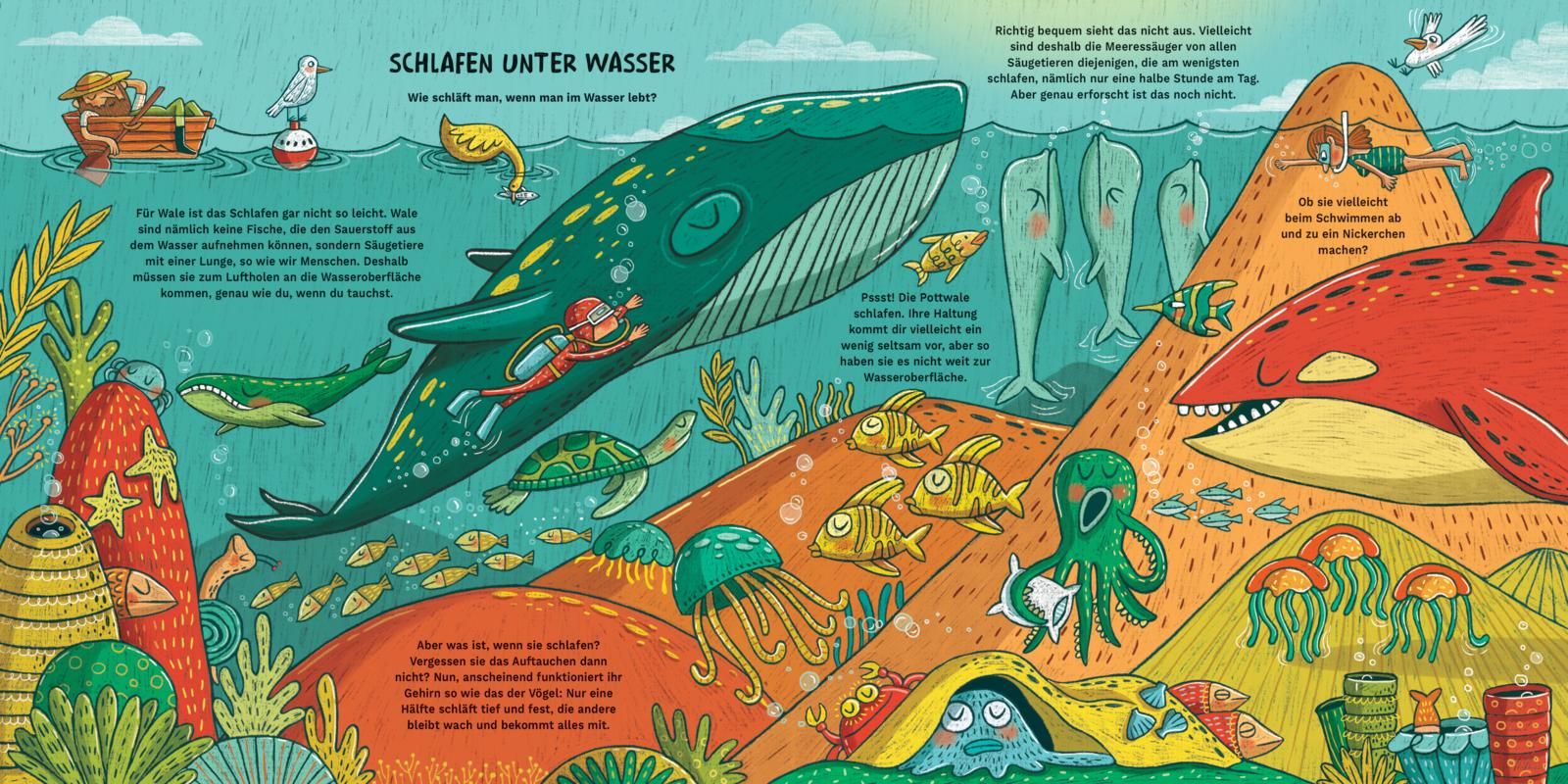 Wie Haie in die Heia gehen (Mängelexemplar)