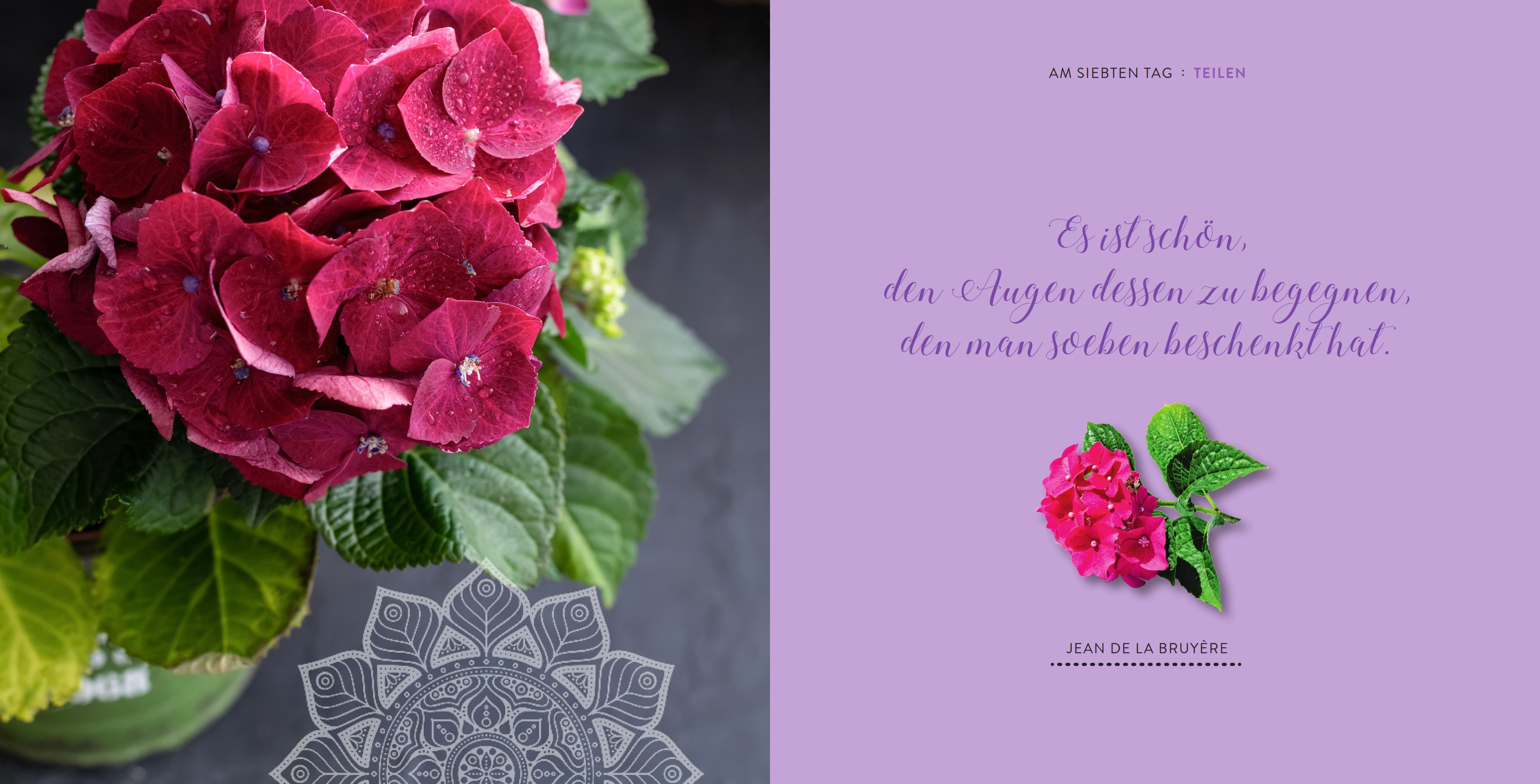 Sieben Tage Harmonie (Mängelexemplar)