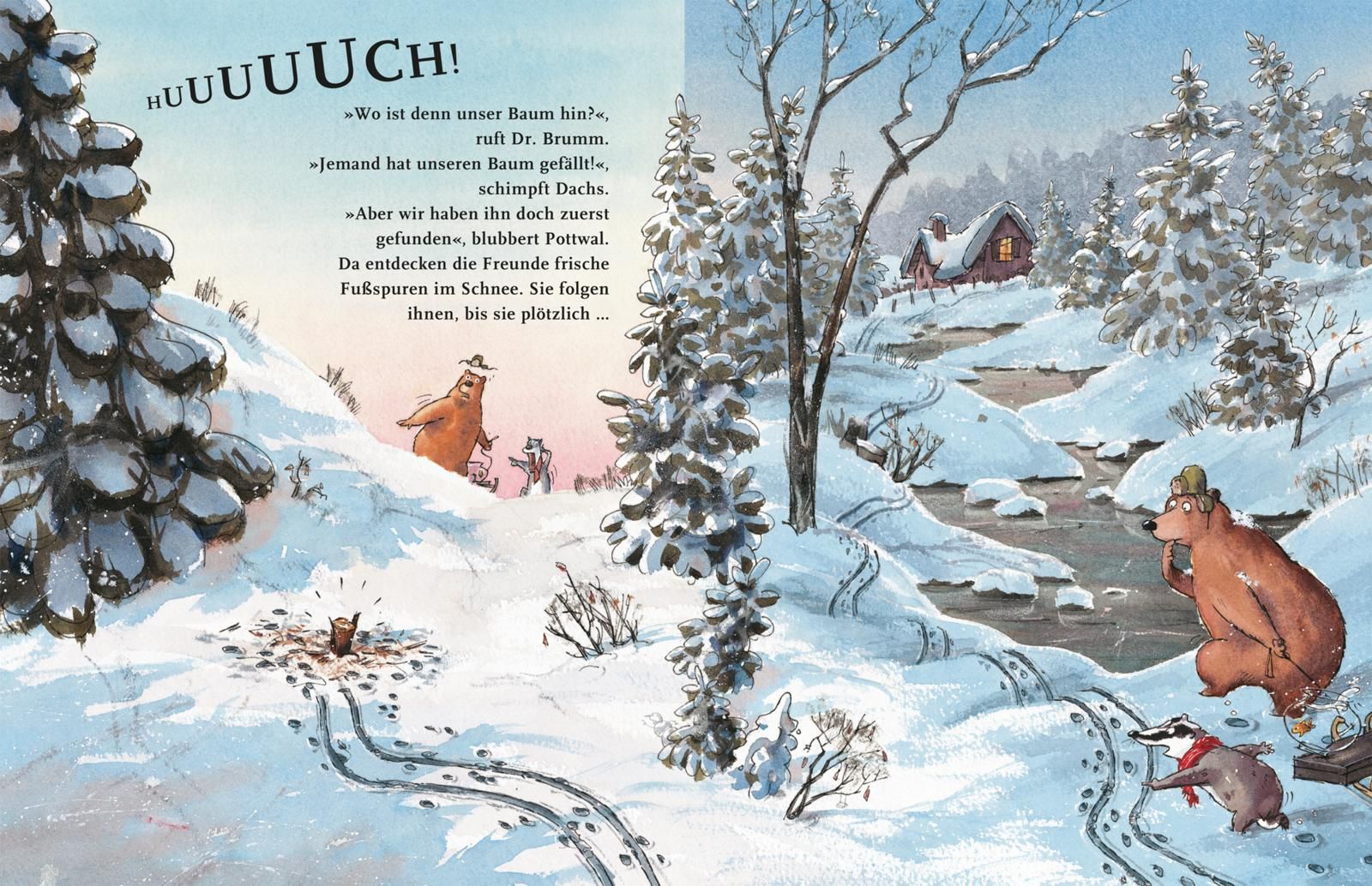 Dr. Brumm: Dr. Brumm feiert Weihnachten (Mängelexemplar)