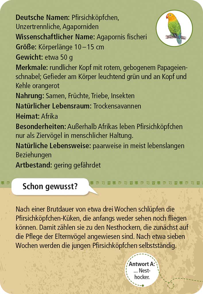 X_Expedition Natur - 50 Zootiere