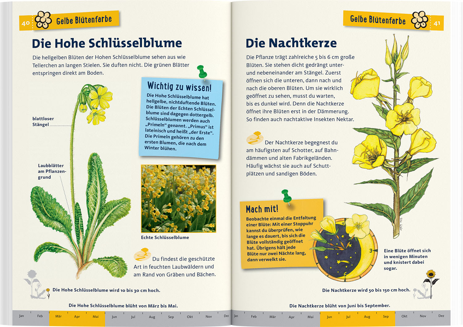 Was blüht denn da? Kindernaturführer (Mängelexemplar)