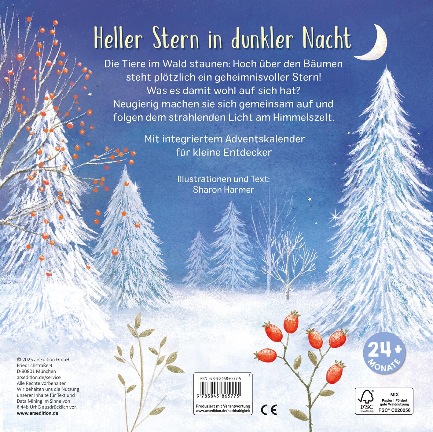 Mein liebstes Adventskalenderbuch (Mängelexemplar)