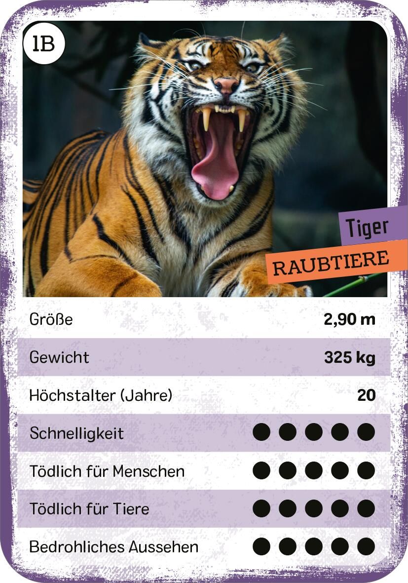 Das tödliche Quartett
