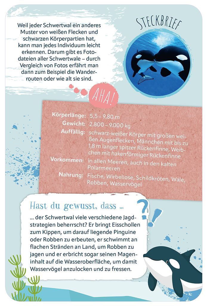 Die 100 schönsten Tiere der Welt (Mängelexemplar)