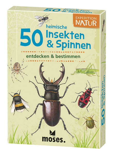 X_Expedition Natur - 50 heimische Insekten & Spinnen