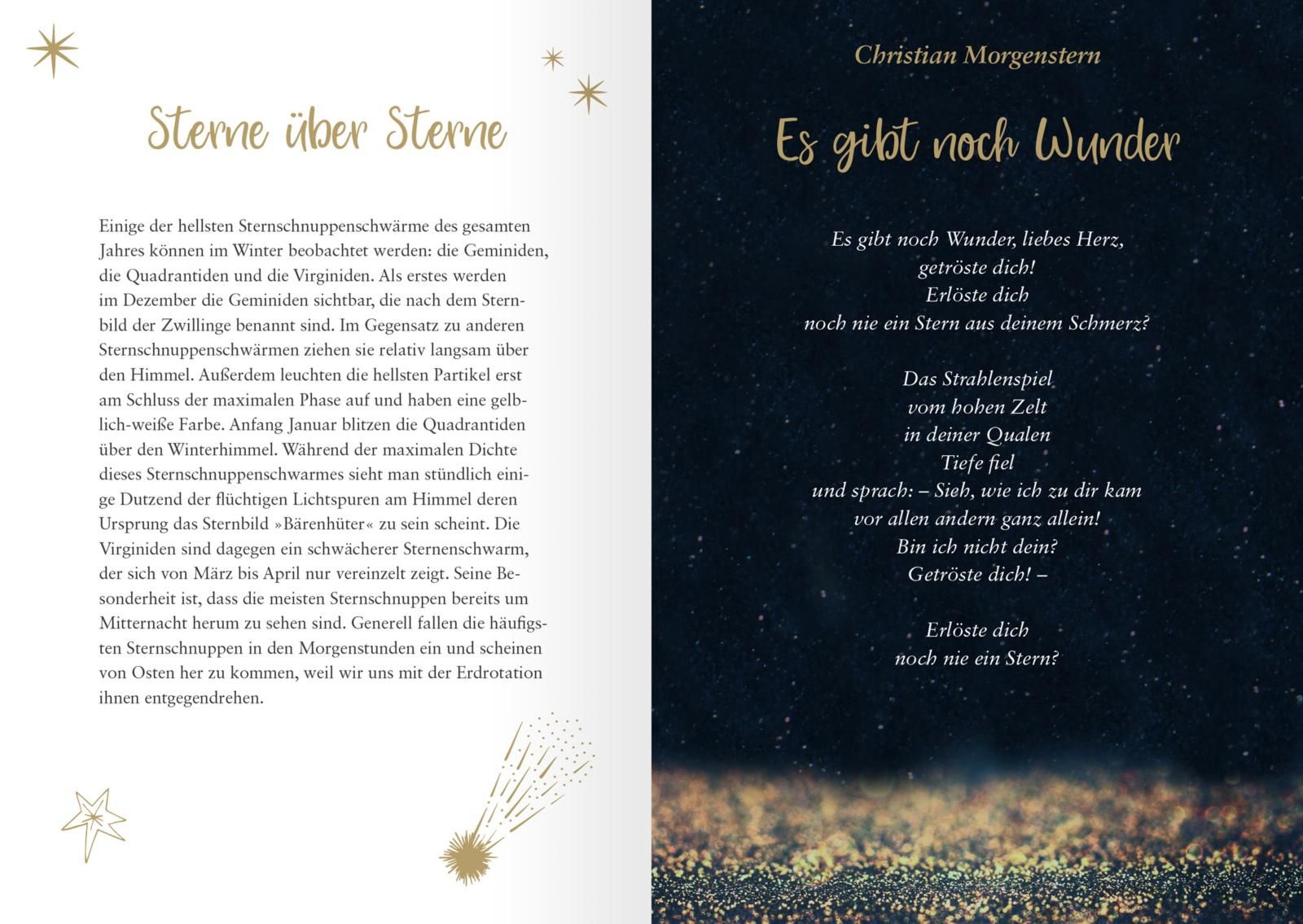 Sternennacht und Schneegeflüster - Wissenswertes, Bräuche und Legenden (Mängelexemplar)