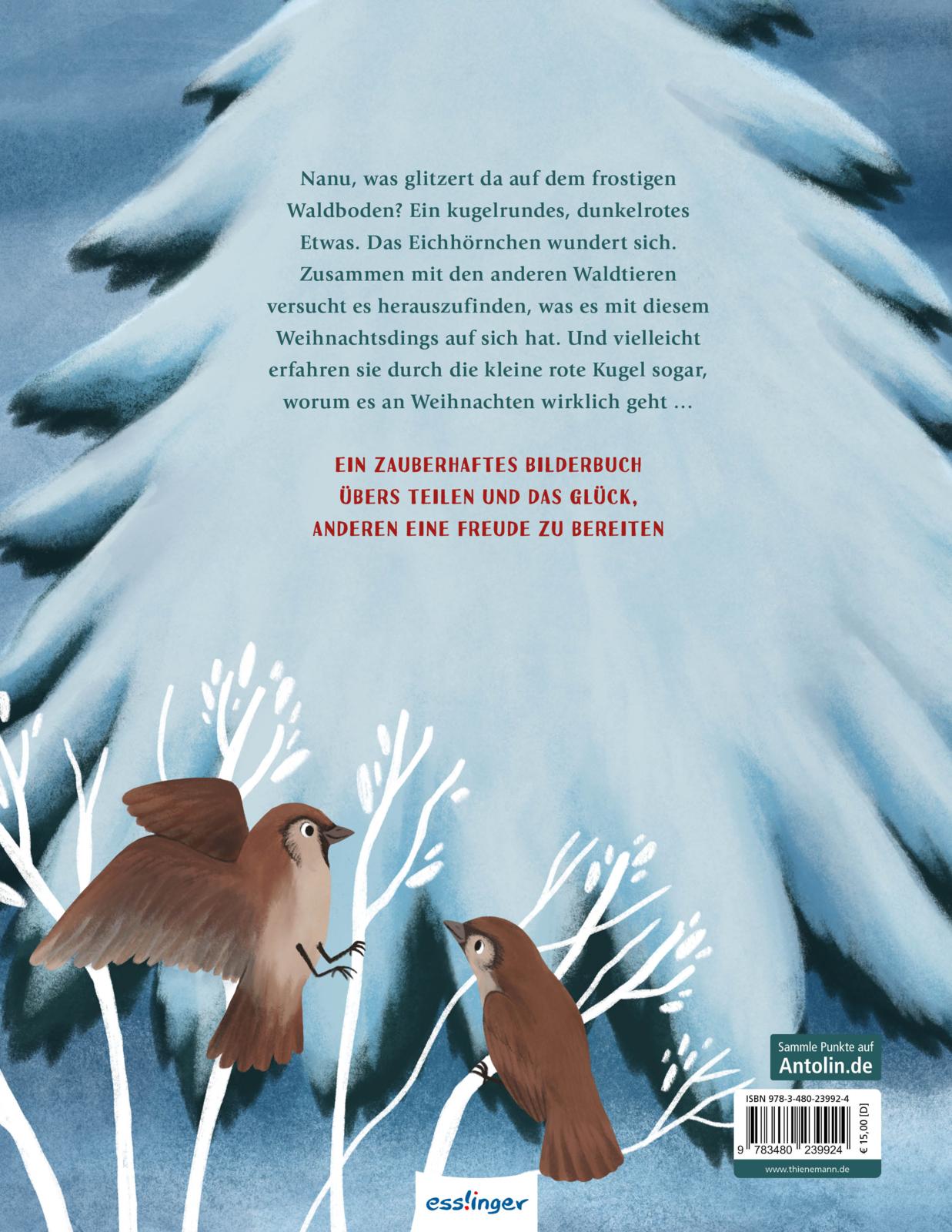 Wem gehört das Weihnachtsdings? (Mängelexemplar)