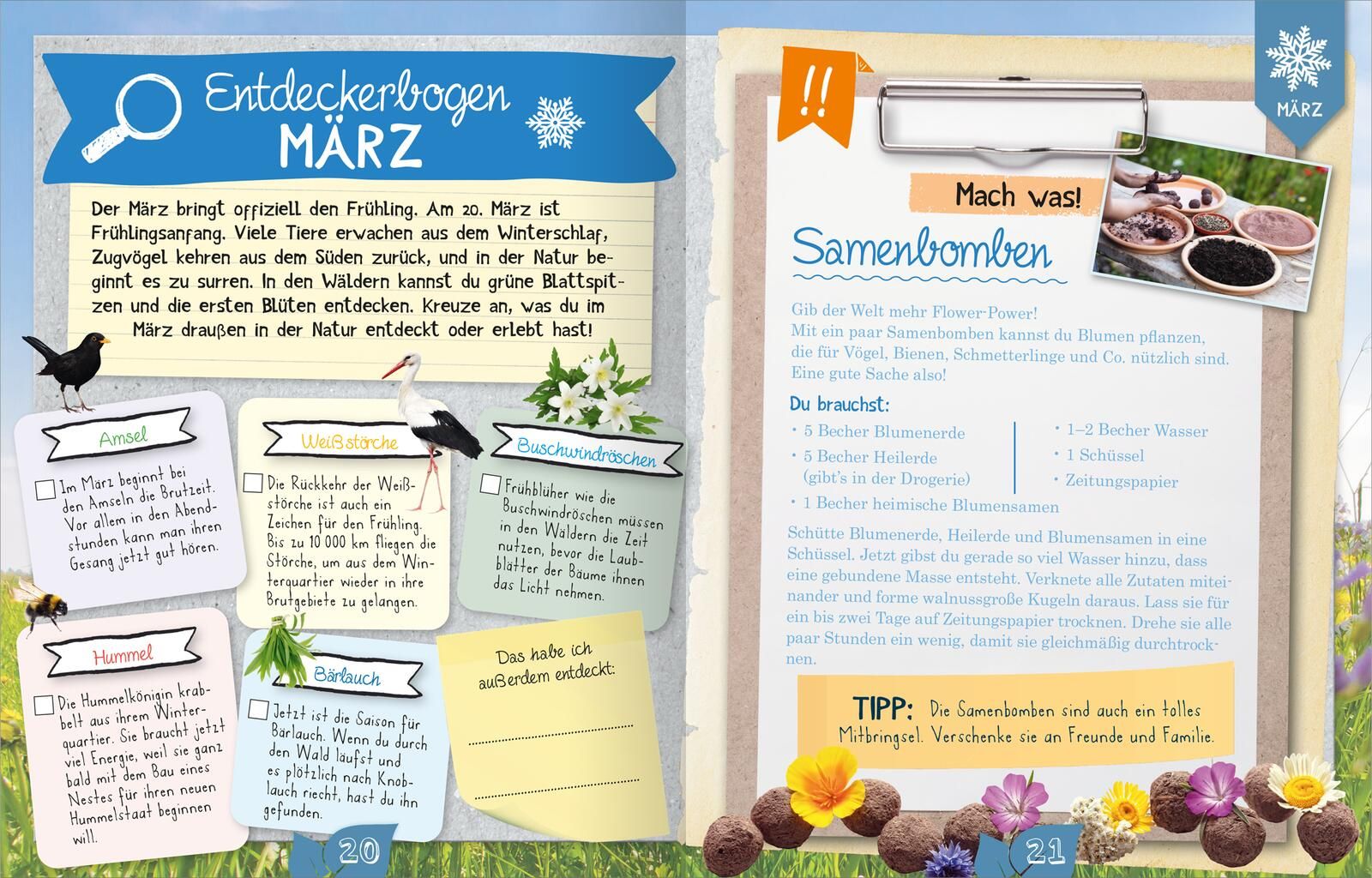 Naturforscher-Kids – Durch das Jahr (Mängelexemplar)