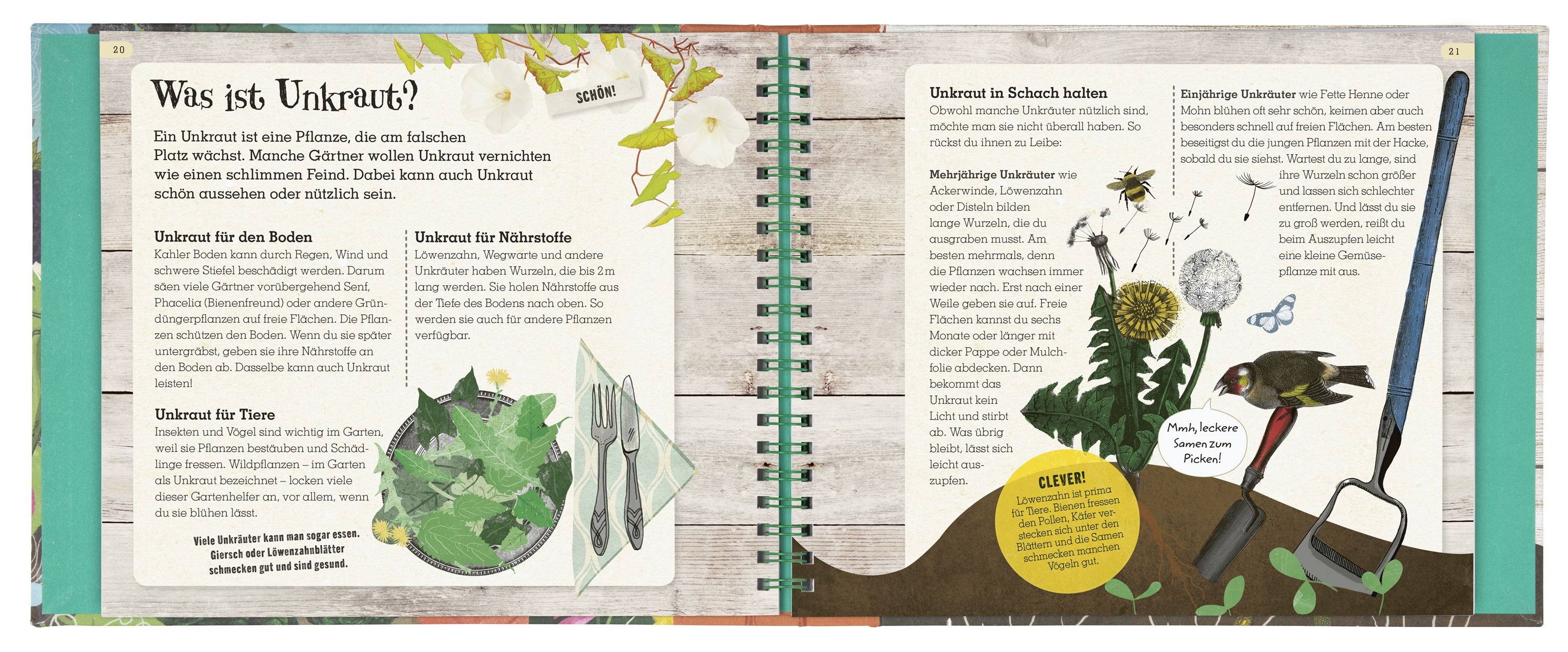 Grün - Mein Mitmach-Gartenbuch. Obst und Gemüse selber ziehen!