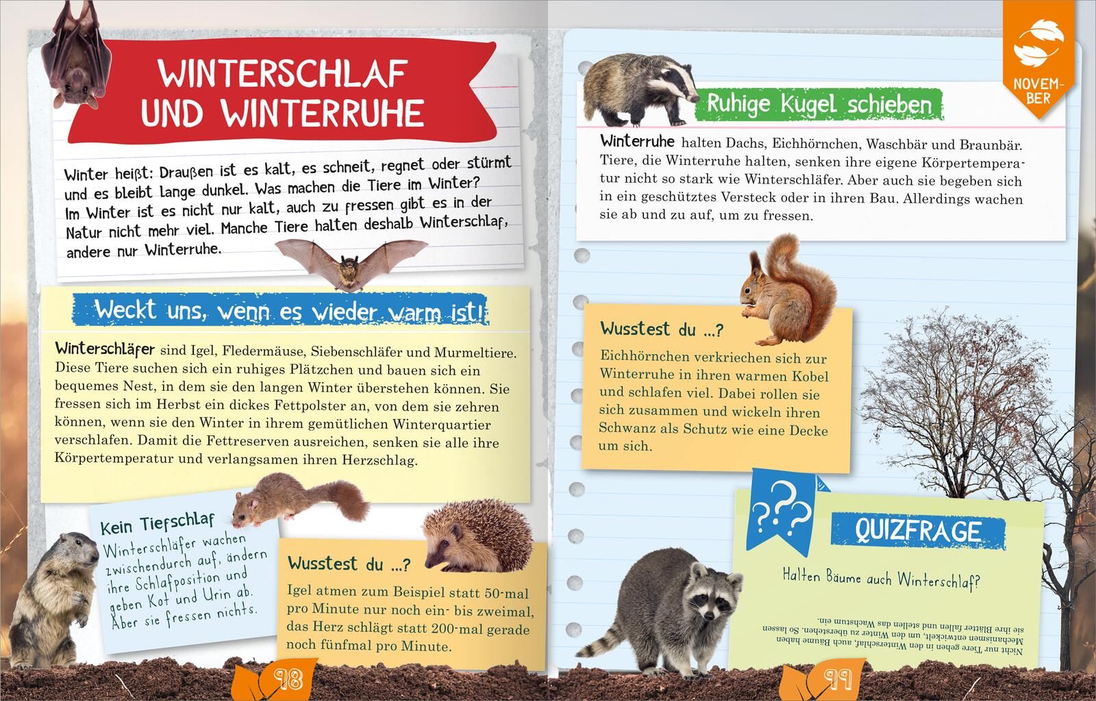 Naturforscher-Kids – Durch das Jahr (Mängelexemplar)