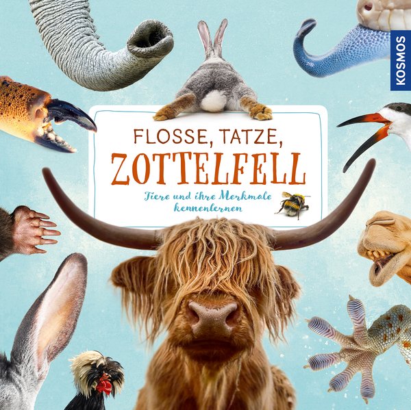 Flosse, Tatze, Zottelfell - Tiere und ihre Merkmale kennenlernen
