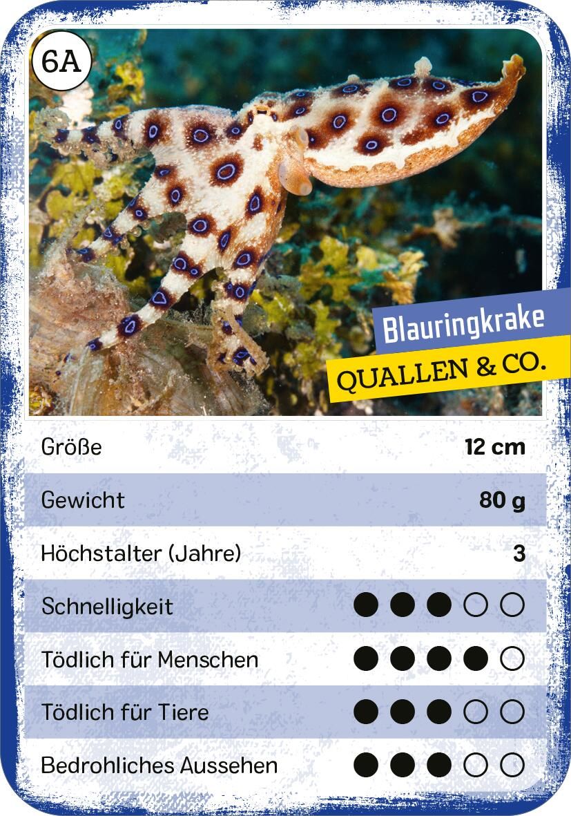 Das tödliche Quartett