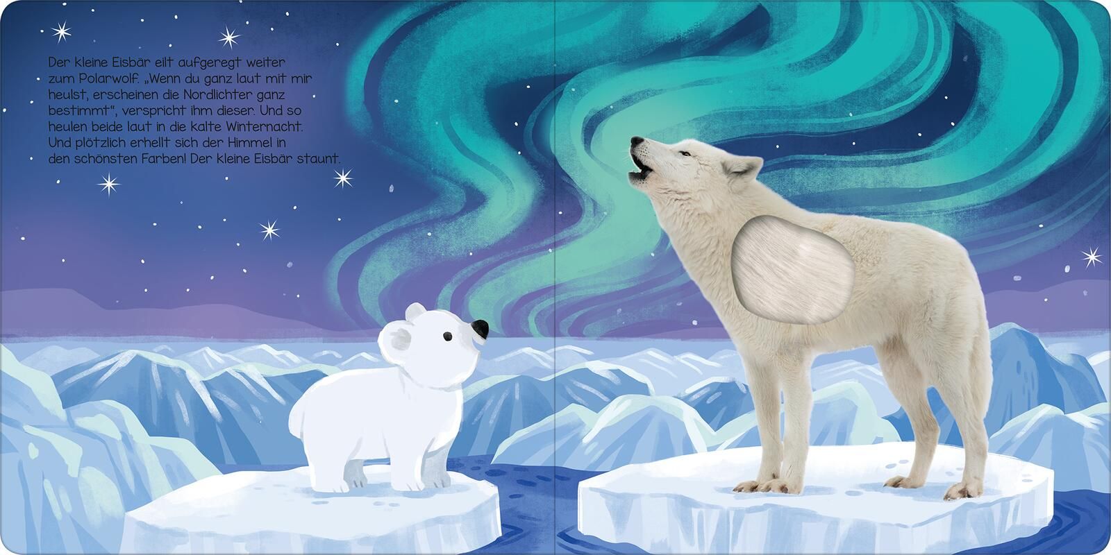 Hör mal, kleiner Eisbär! Soundbuch