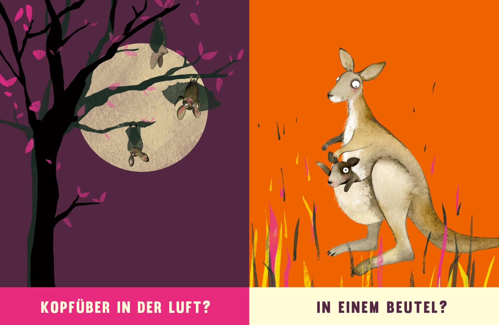 Wo bist du zu Hause? - Pappbilderbuch über Tiere (Mängelexemplar)