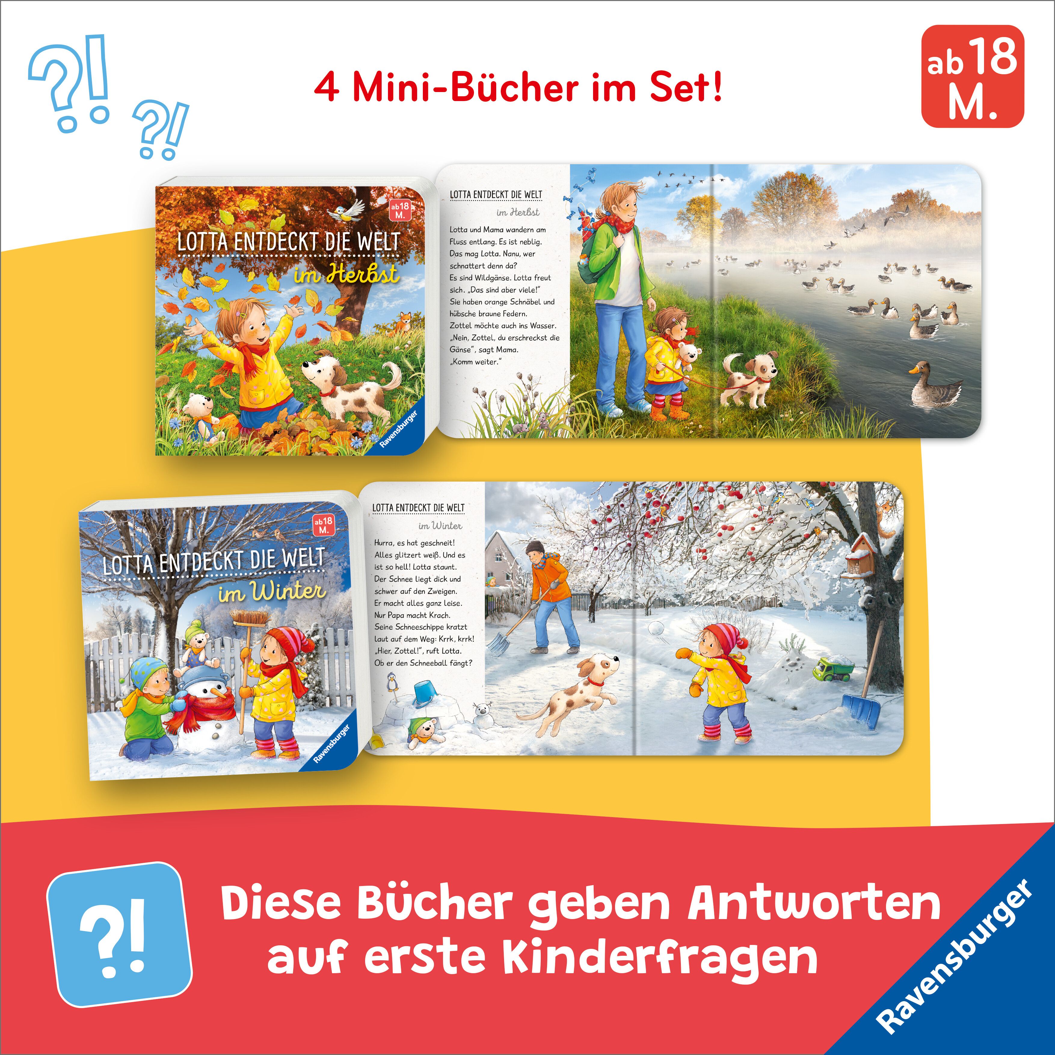 Lotta entdeckt die Jahreszeiten (Mängelexemplar)