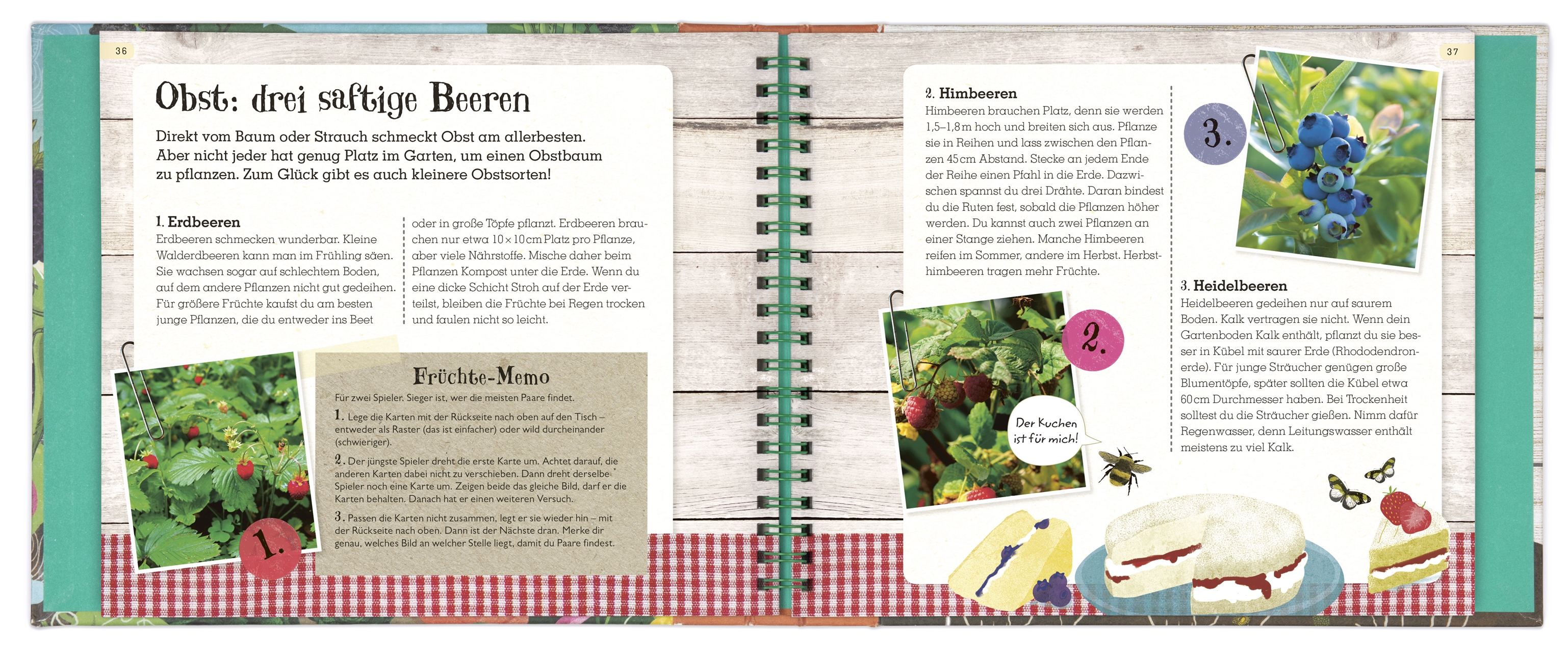 Grün - Mein Mitmach-Gartenbuch. Obst und Gemüse selber ziehen!