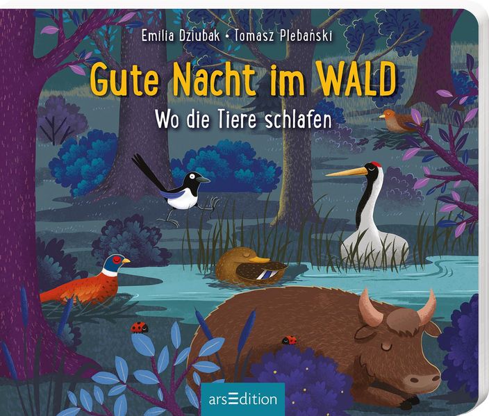 Gute Nacht im Wald (Mängelexemplar)