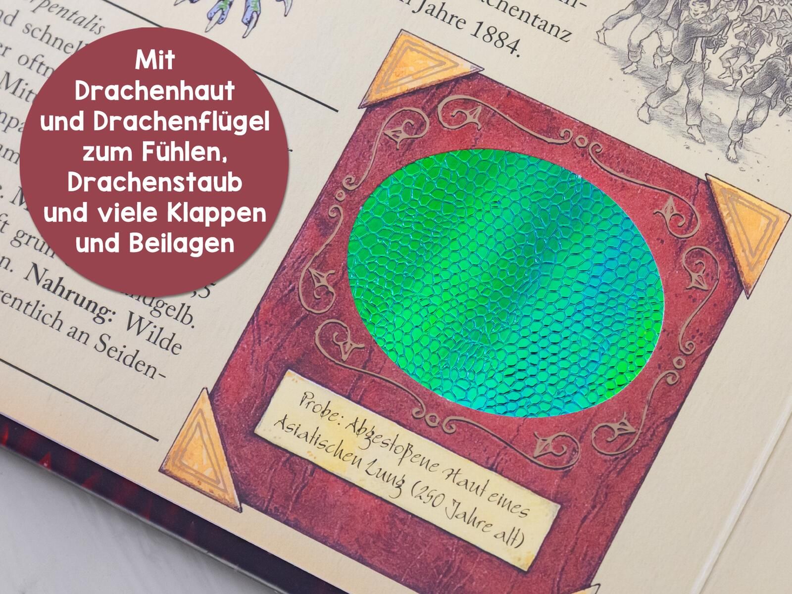 Expedition in die geheime Welt der Drachen (Mängelexemplar)