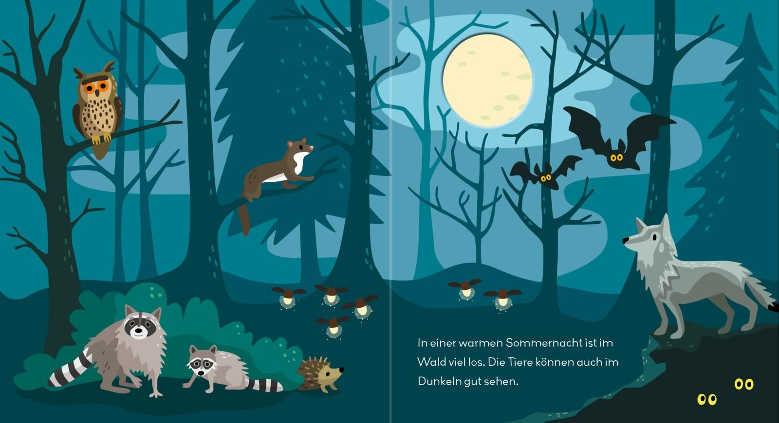 Baby Pixi (unkaputtbar) 178: Flippediflapp: Tiere im Wald (Mängelexemplar)