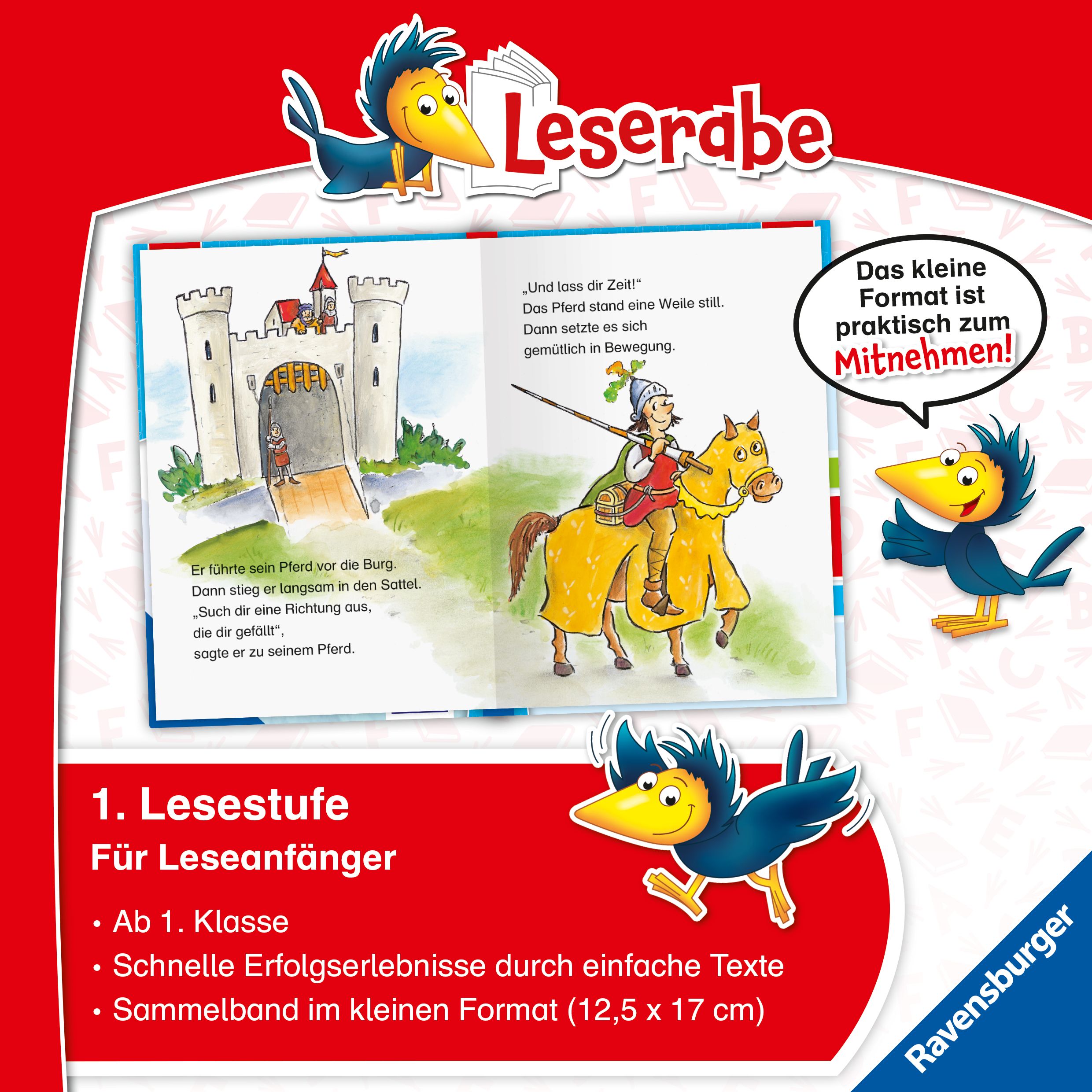 Leserabe Sonderausgaben - Fantastische Erstlesegeschichten von Rittern und Drachen (Mängelexemplar)