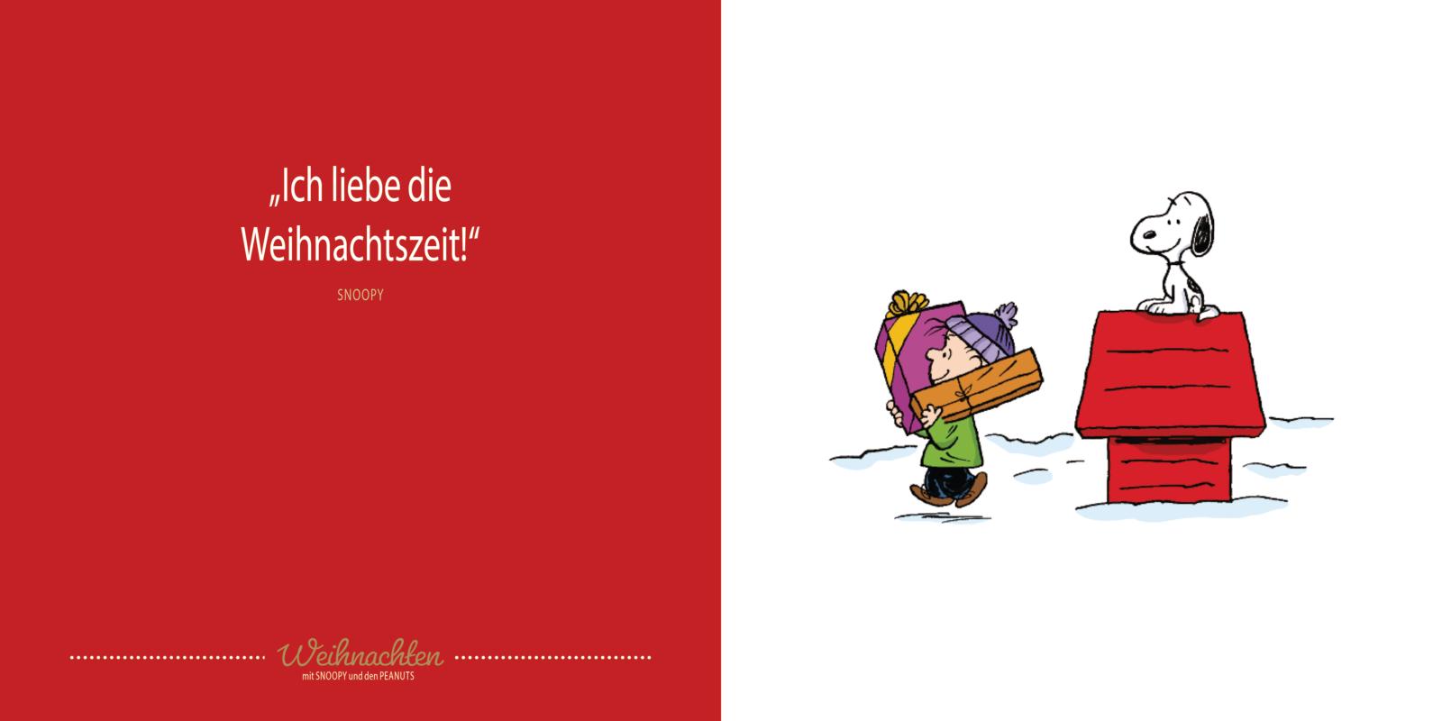 Peanuts Geschenkbuch: Frohe Weihnachten mit Snoopy und den Peanuts (Mängelexemplar)