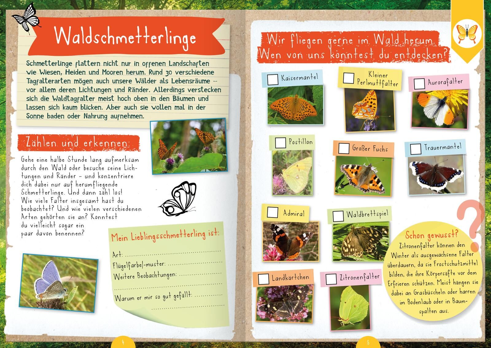Naturforscher-Kids – Mitmachbuch im Wald (Mängelexemplar)