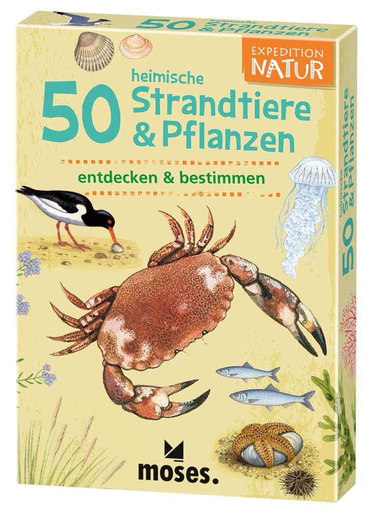X_Expedition Natur - 50 heimische Strandtiere & Pflanzen