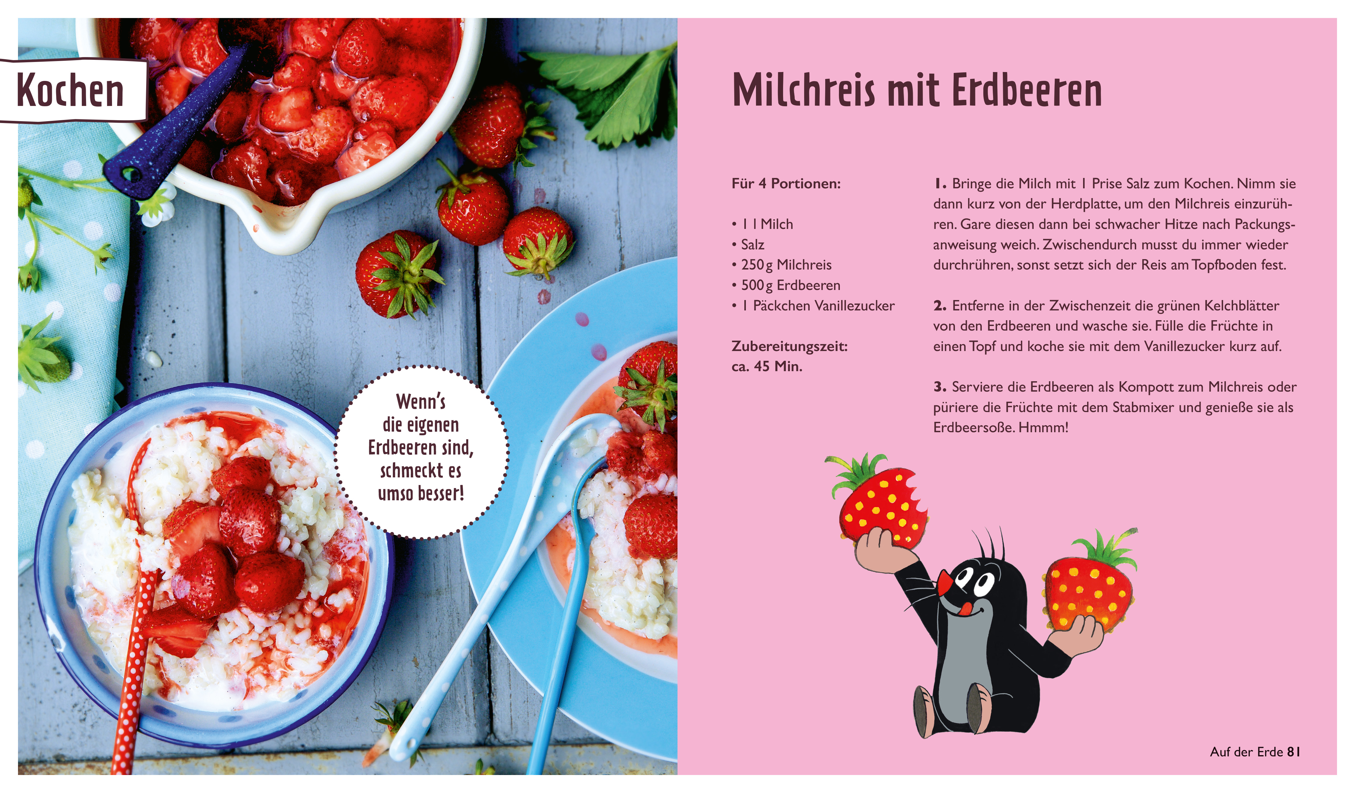 Der kleine Maulwurf: Über und unter der Erde (Mängelexemplar)