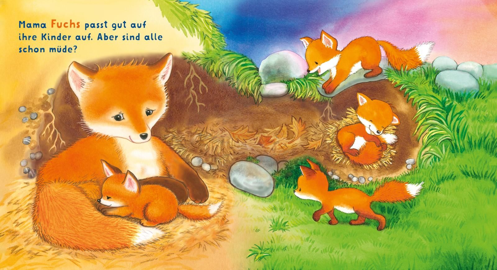 Baby Pixi (unkaputtbar) 165: Baby Pixi Stoff: Gute Nacht, ihr lieben Tiere! (Mängelexemplar)