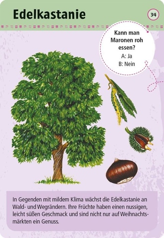 X_Expedition Natur 50 essbare Wildpflanzen - entdecken & bestimmen