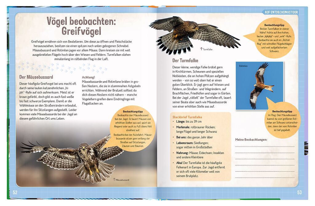 X_Erforsche die Vögel - Ihr Leben rund ums Jahr (Mängelexemplar)