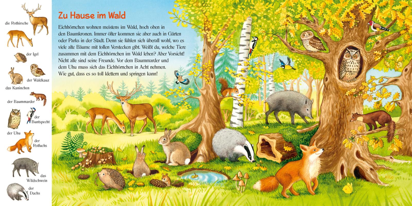 Pass gut auf das kleine Eichhörnchen auf (Mängelexemplar)
