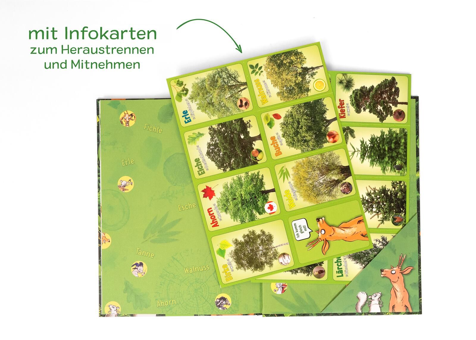 Unsere Wälder (Mängelexemplar)