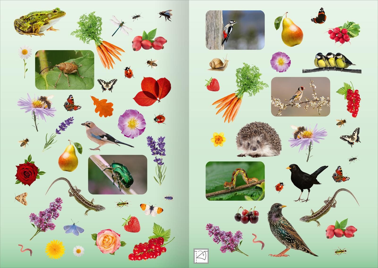 Naturforscher-Kids – Fotosticker Im Garten