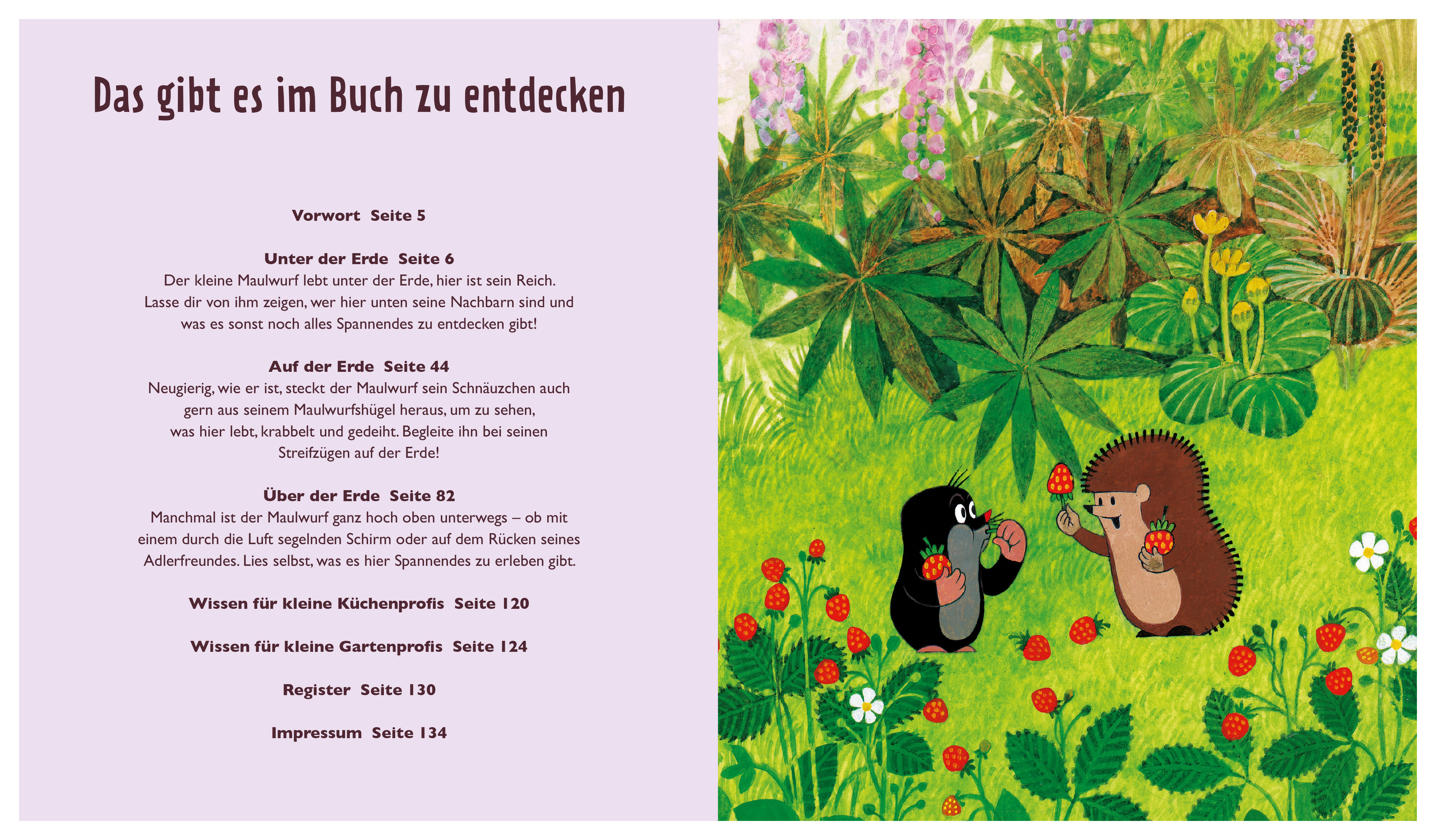 Der kleine Maulwurf: Über und unter der Erde (Mängelexemplar)