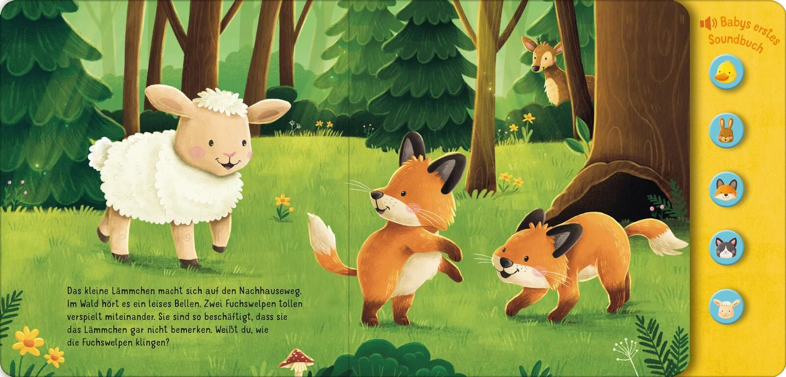Hör mal, so klingen die Tierkinder! (Mängelexemplar)