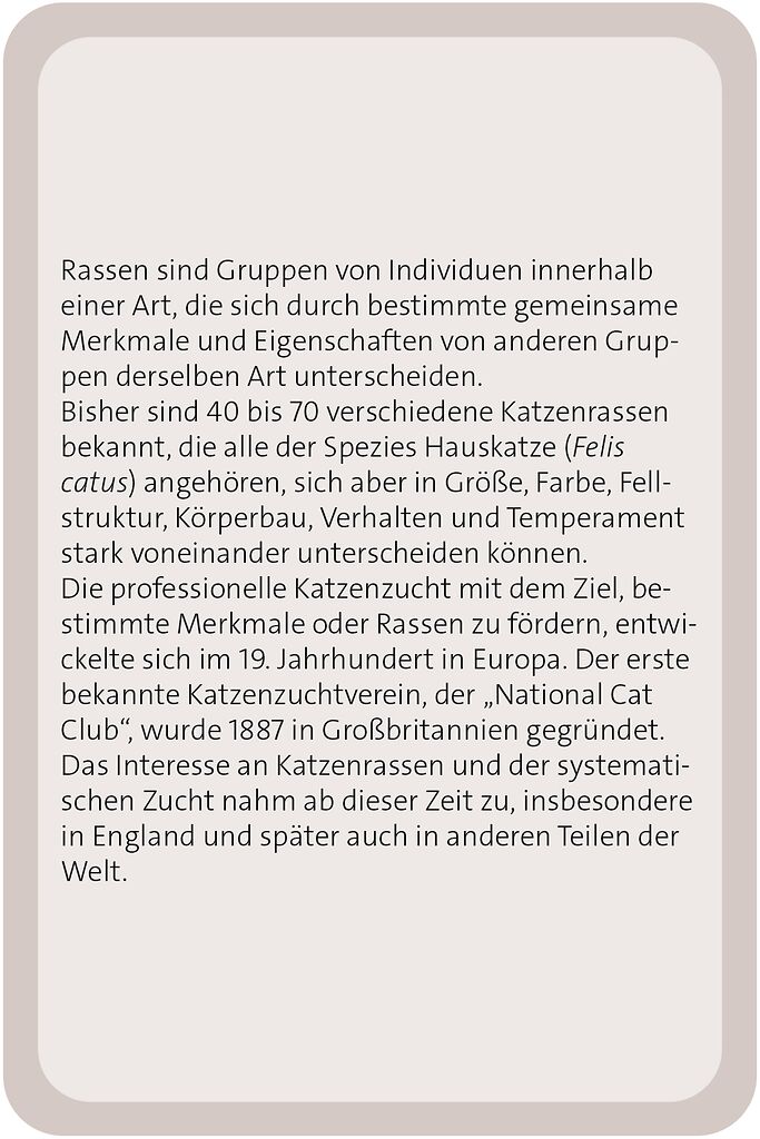 X_Das große Katzen Quiz (Mängelexemplar)
