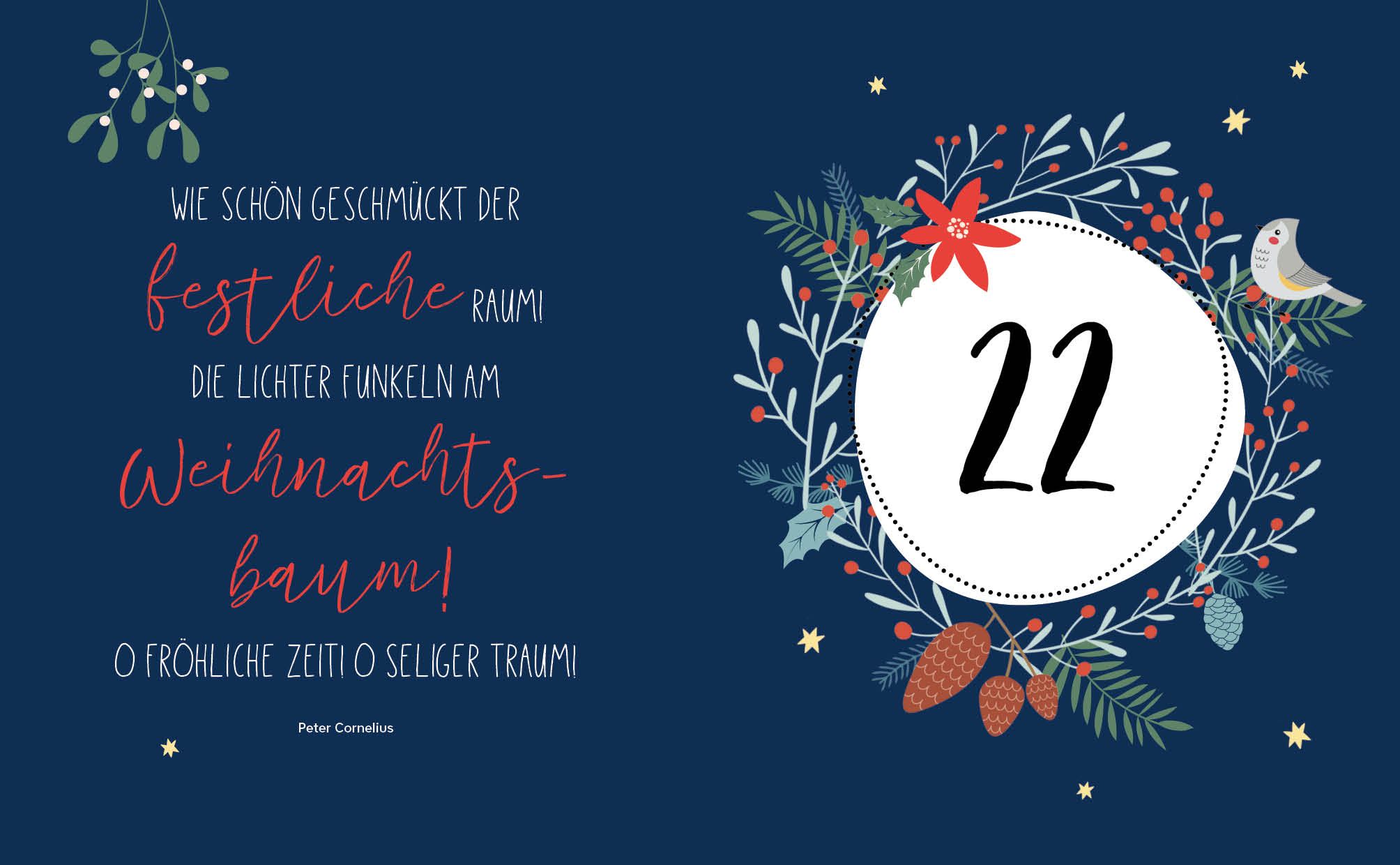 Mein Adventskalender-Buch: Gartendeko-Liebe (Mängelexemplar)