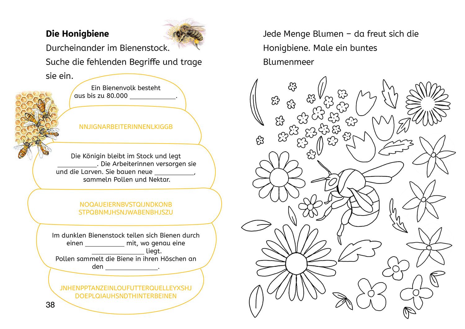 Lesen lernen mit Naturrätseln, Bücherhelden 2. Klasse, Insekten & Spinnen (Mängelexemplar)