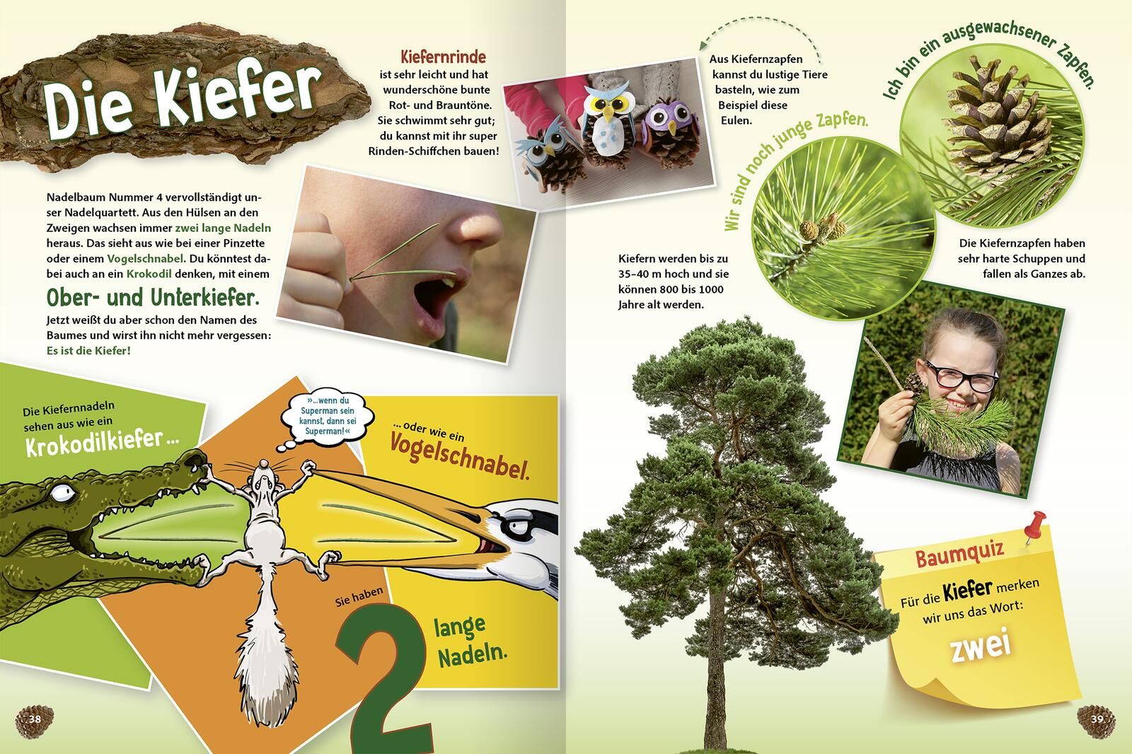 Unsere Wälder (Mängelexemplar)