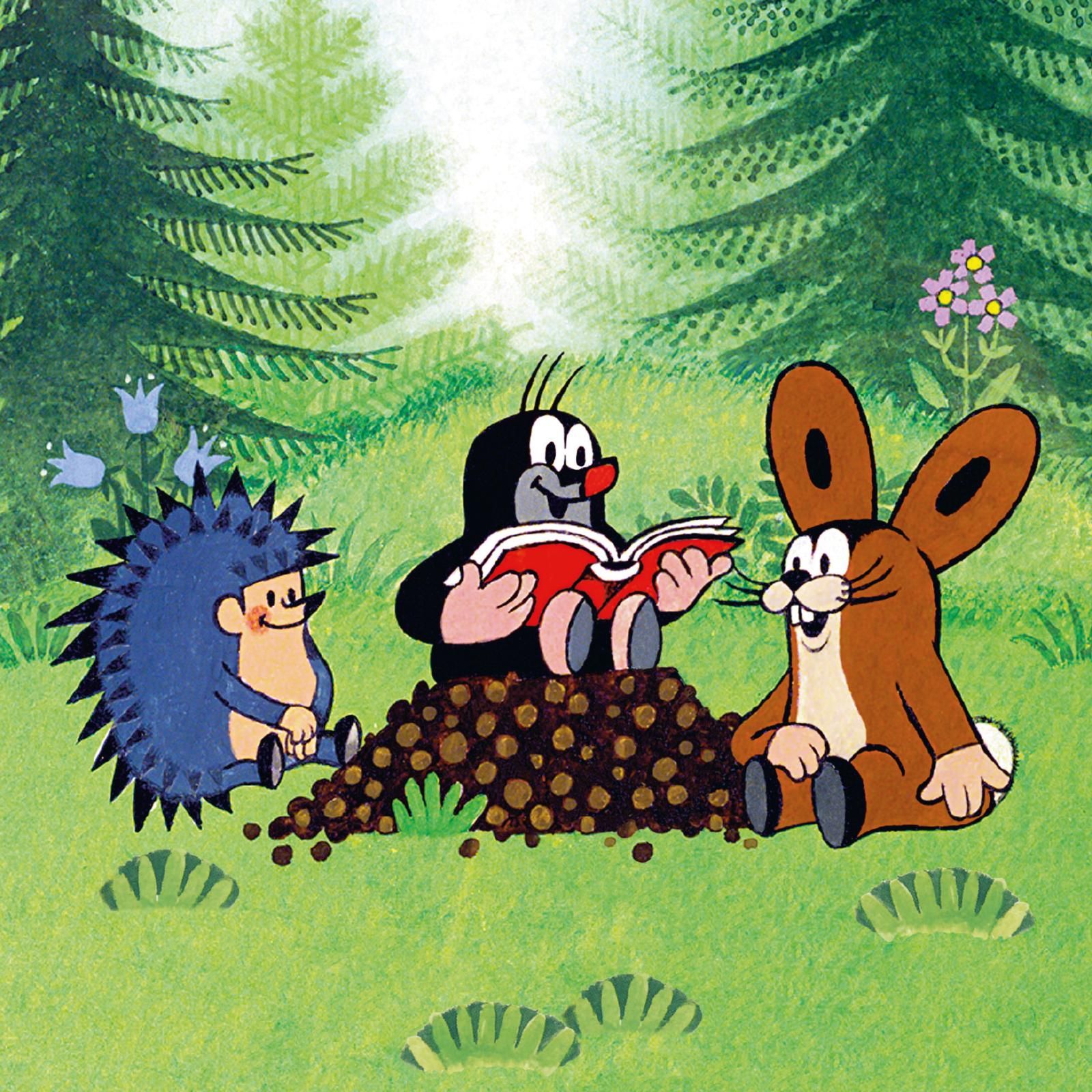 Maxi Pixi 467: Der kleine Maulwurf und der Schatz im Wald (Mängelexemplar)