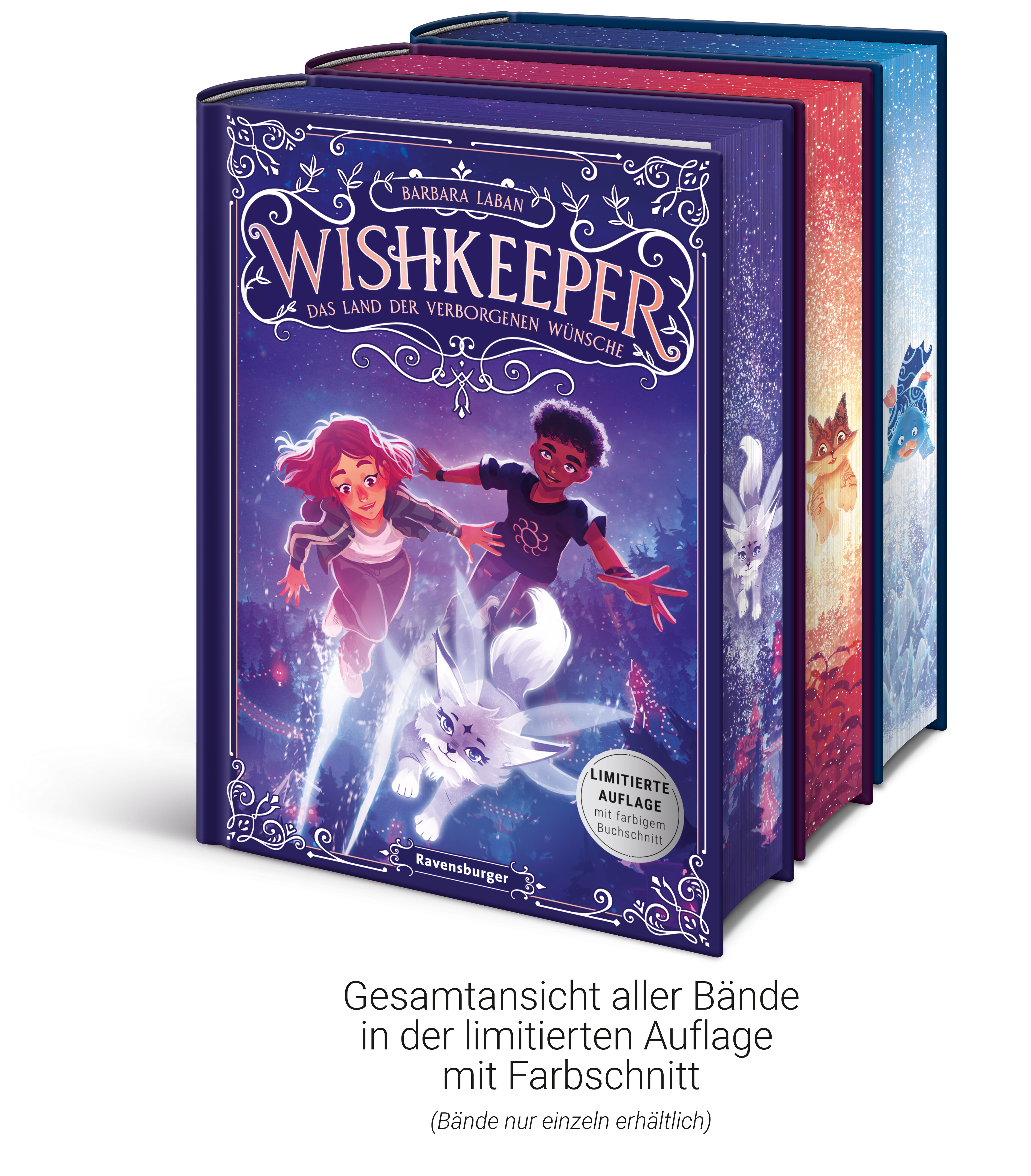 Wishkeeper, Band 1 - Das Land der verborgenen Wünsche (Mängelexemplar)