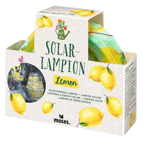 X_Blatt & Blüte Solar-Lampion Lemon