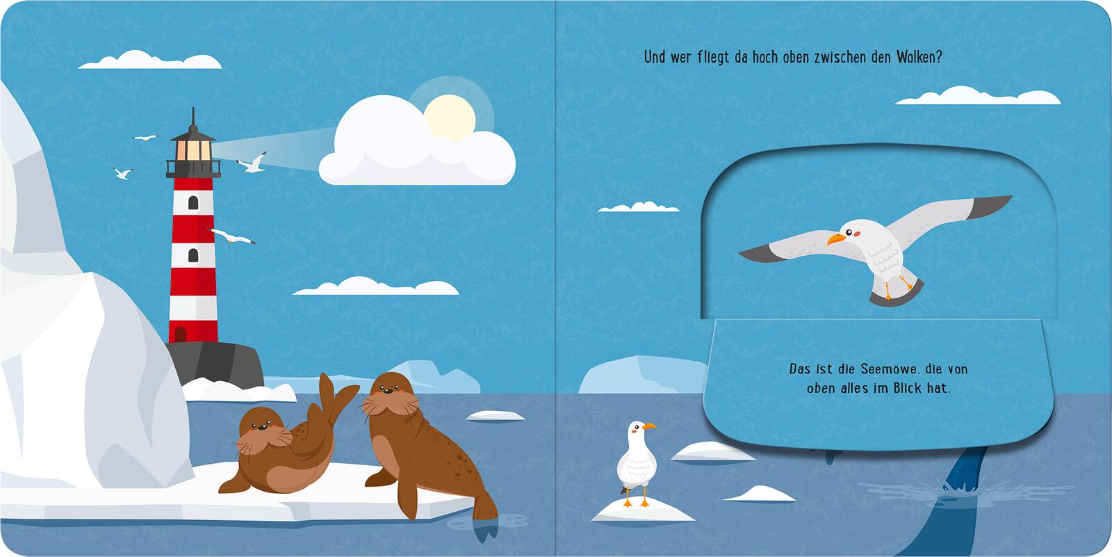 Mein kleines Klappenbuch – Am Südpol