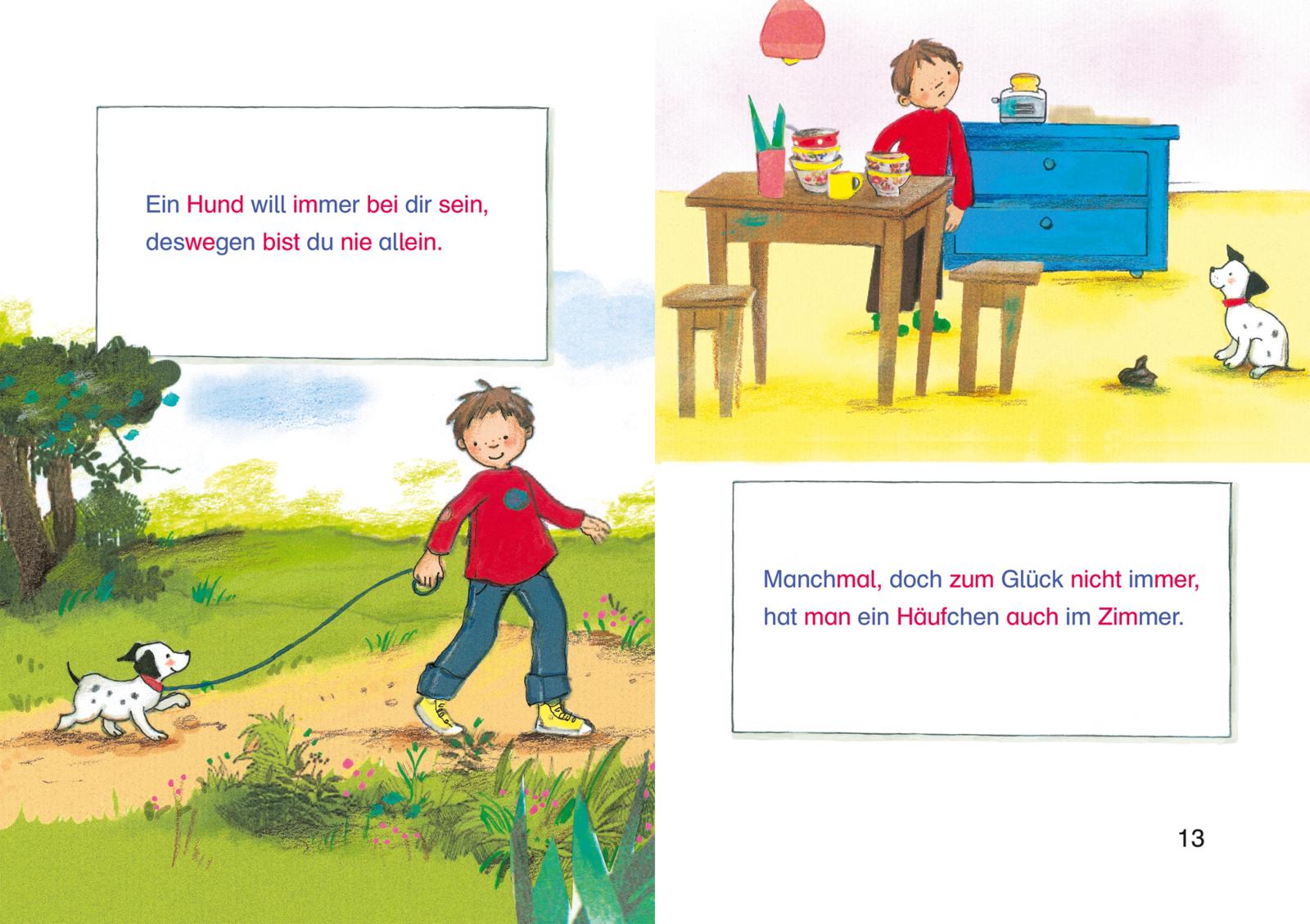 LESEMAUS zum Lesenlernen Sammelbände: Meine liebsten Hunde-Silben-Geschichten (Mängelexemplar)