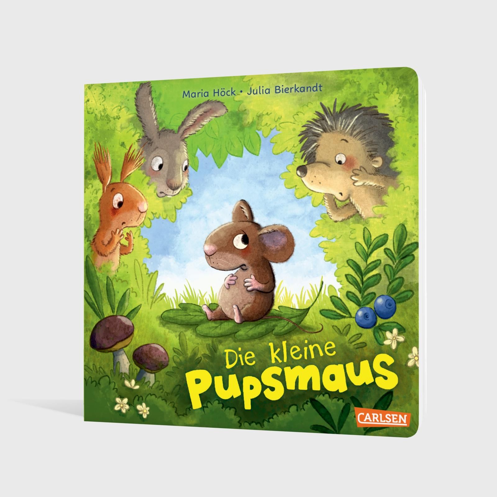 Die kleine Pupsmaus (Mängelexemplar)
